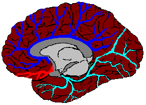 blood1.gif (6511 bytes)