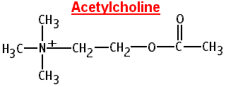 ach.gif (2545 bytes)
