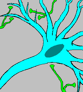 fire.gif (33471 bytes)